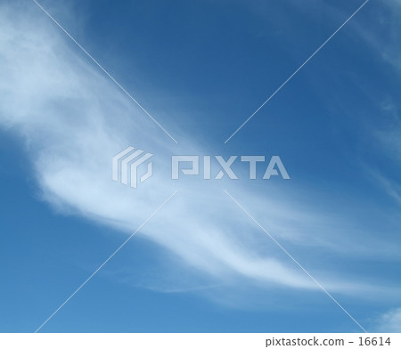 夏日的天空 16614