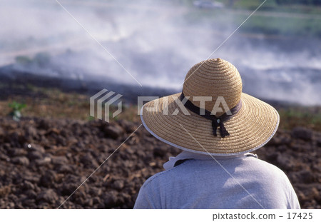 I hope for good harvest 17425