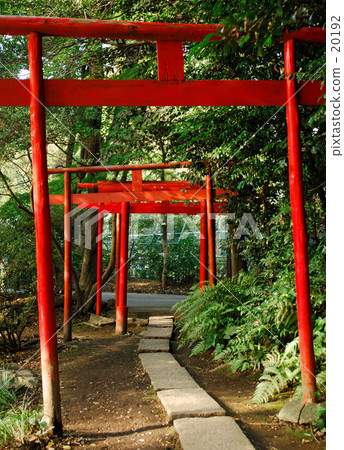 鳥居 20192