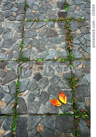 Dead leaves~♪ 2 Dead leaves~♪ 2 20889