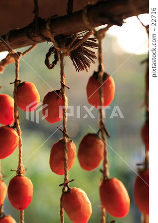 Dried persimmon at the eaves Dried persimmon at the eaves 22716