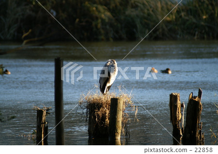 seems cold··· 22858