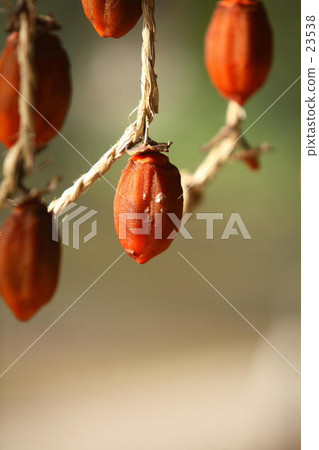 A persimmon A persimmon 23538