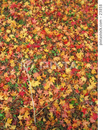 Autumn memories 2006 part-02 Autumn memories 2006 part-02 23858