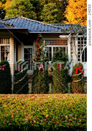 Vegetable garden Christmas decoration Vegetable garden Christmas decoration 24050