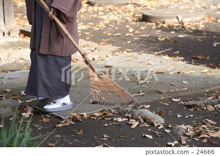 At the end of autumn 24666