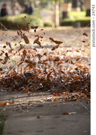在一個團隊中跳舞 在一個團隊中跳舞 24743