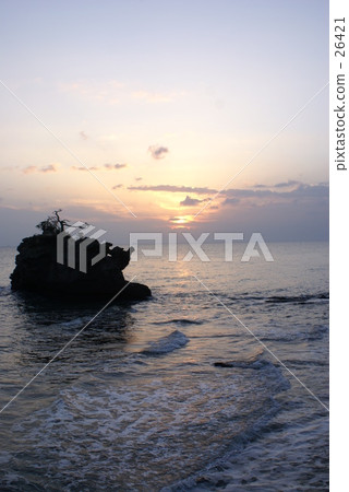 冬天的早晨 26421