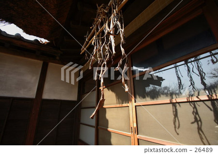 冬天的屋簷 26489