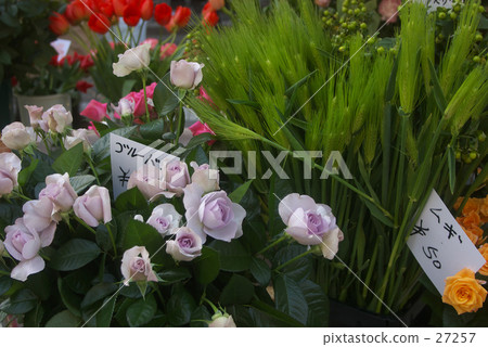 Rose and wheat Rose and wheat 27257