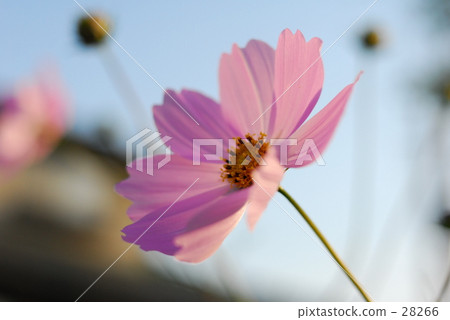 相反的方向...... 28266