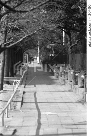 橫濱·山下公園1945年1月 橫濱·山下公園1945年1月 30480