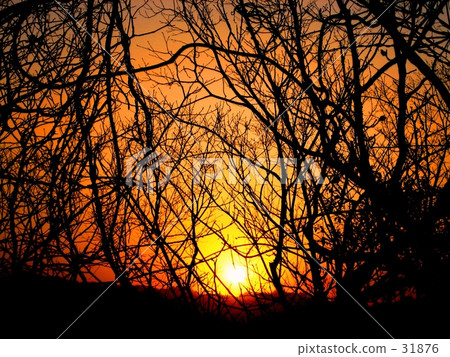 洛陽。 洛陽。 31876