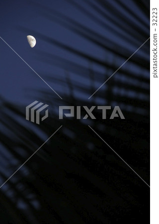Tropical moon 32223