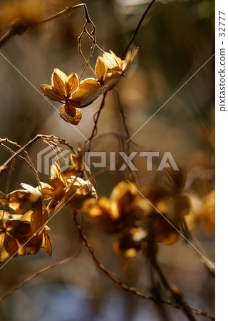 I can not wait for spring 32777