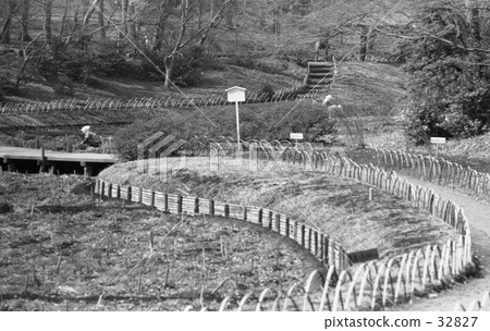 原宿·明治神宮，Awamura Showa 45年 32827