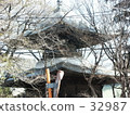 Setsubun 32987
