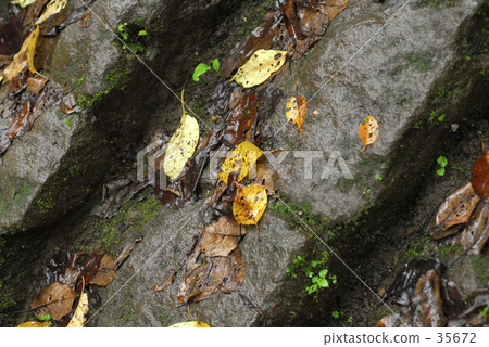  Stone steps 35672