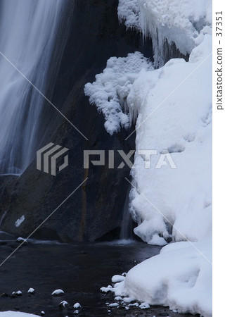 Ice shape of seeing trout Ice shape of seeing trout 37351