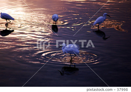 The twilight waterside The twilight waterside 37998