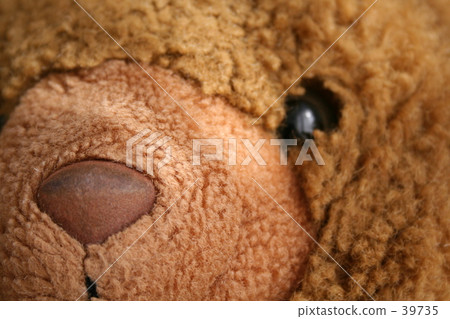 Kuma no Nigumuri Kuma no Nigumuri 39735