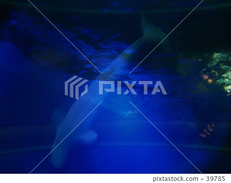 remembrance, transparent, float 39785