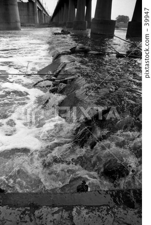 1955年5月在多摩川/ Niko Tamagawa 1955年5月在多摩川/ Niko Tamagawa 39947