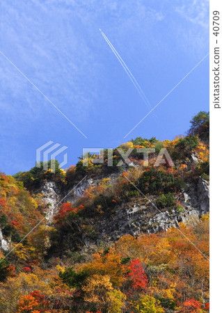 Flight sky in autumn leaves Flight sky in autumn leaves 40709