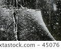 雪和四足動物 45076