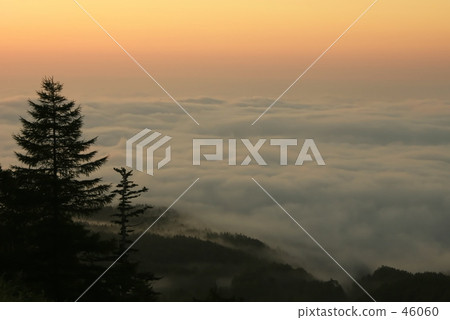 The sea of clouds at dawn -1 - The sea of clouds at dawn -1 - 46060