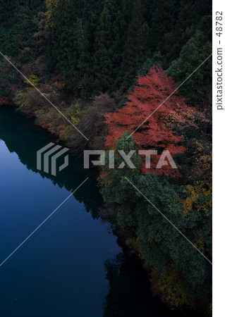 Okutama秋葉 Okutama秋葉 48782