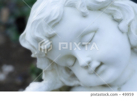 種類 溫和 溫柔 49959