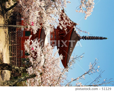 Miyajima · Spring of Toga Tower Miyajima · Spring of Toga Tower 51129