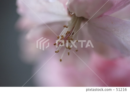 One drop (flower arrangement) 51216