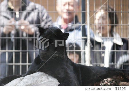 Blue Moss Blue Moss 51395