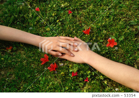 男性手和女性手 53354
