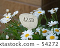€12.50 54272
