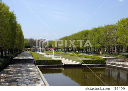 國家昭和紀念公園01 54409