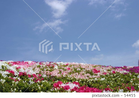 With the blue sky 54455