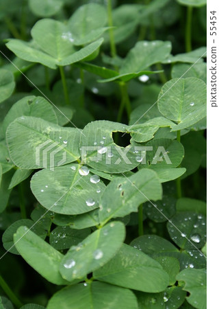 來自天堂的禮物2 55454