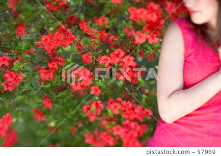red red 57969