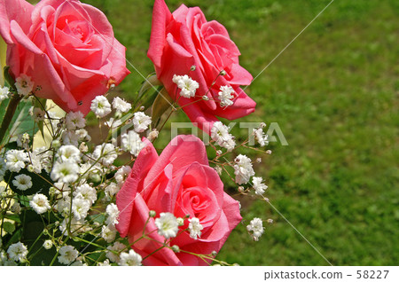 Bouquet of roses 58227