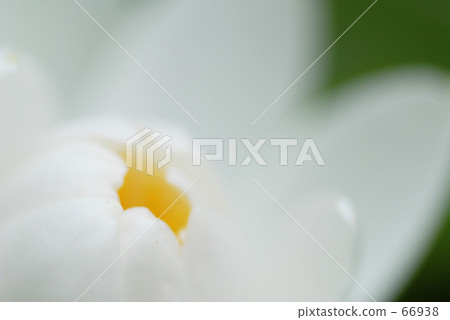 明日開盤 明日開盤 66938