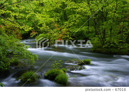 天生就好 天生就好 67018