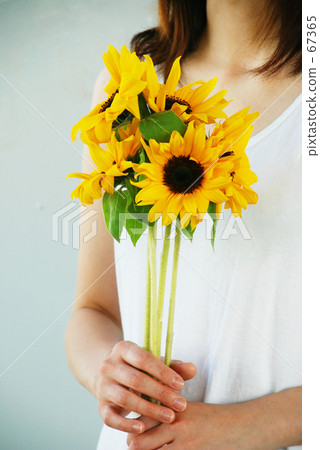 夏... 夏... 67365