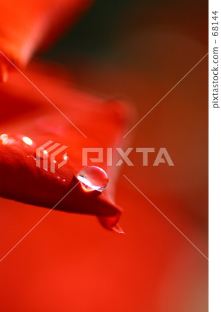 f 0373 68144
