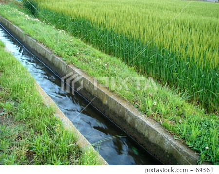 農業運河和麥田 69361