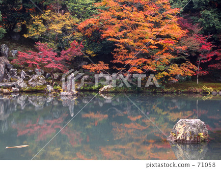 秋葉Tenryuji 秋葉Tenryuji 71058