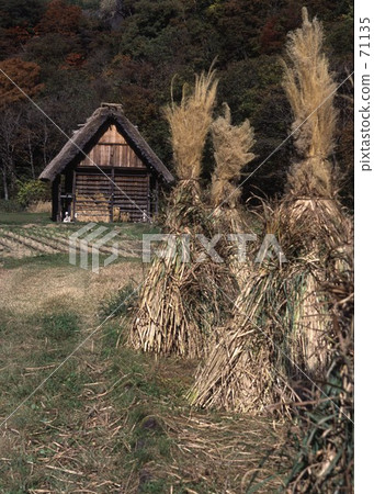 Shirakawago autumn scenery 2004 71135