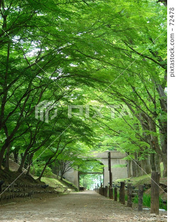 Ninomaru bridge and a line of outer evasion trunks Ninomaru bridge and a line of outer evasion trunks 72478